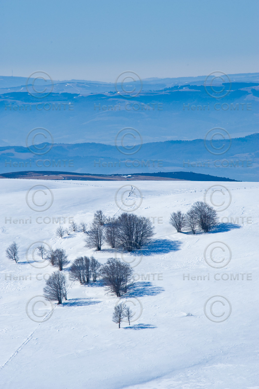 L'Aubrac