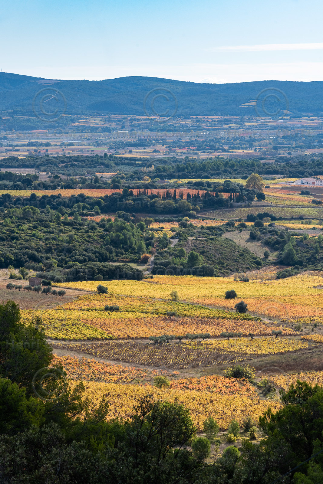 Vignoble Montpeyroux