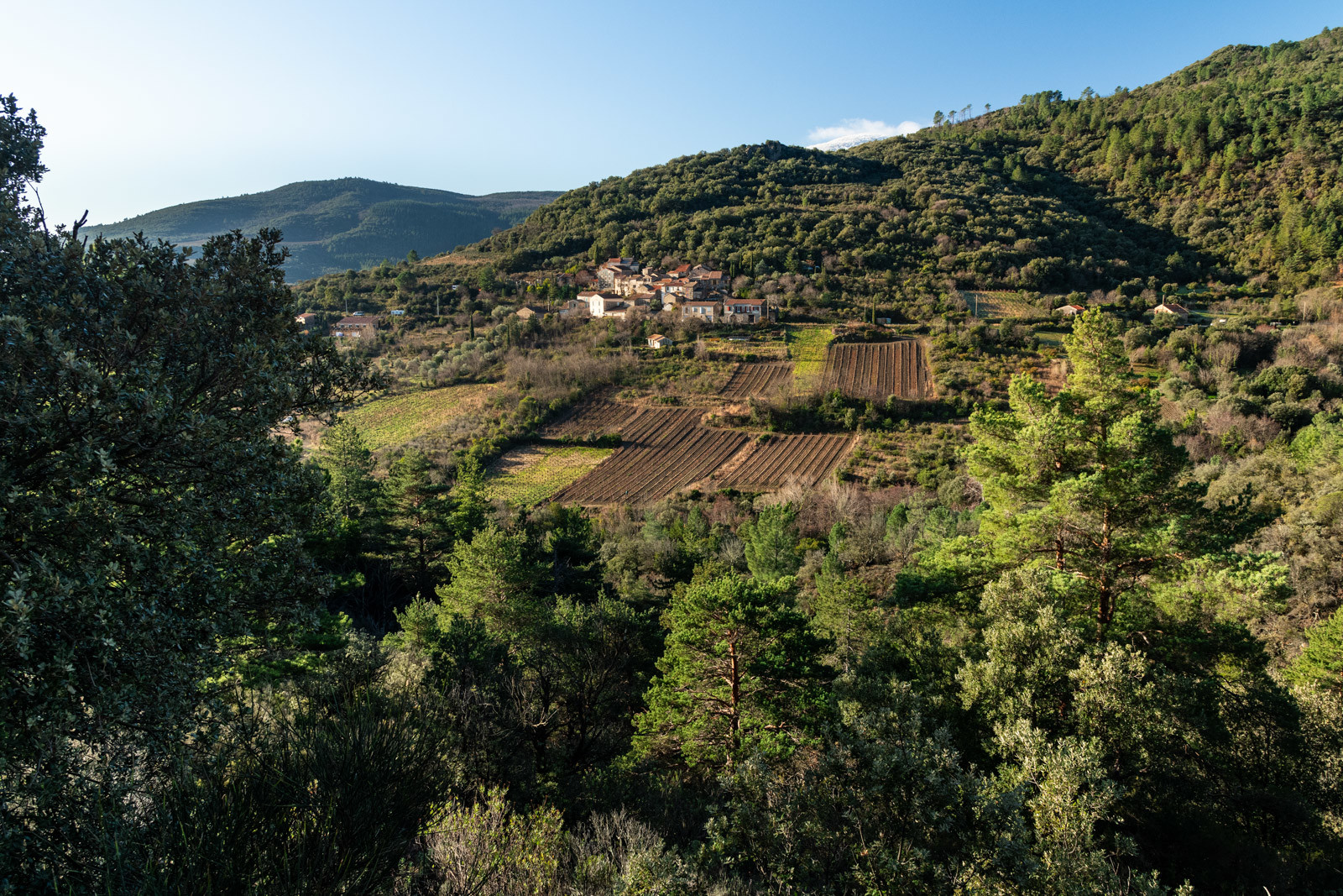 Escagnès