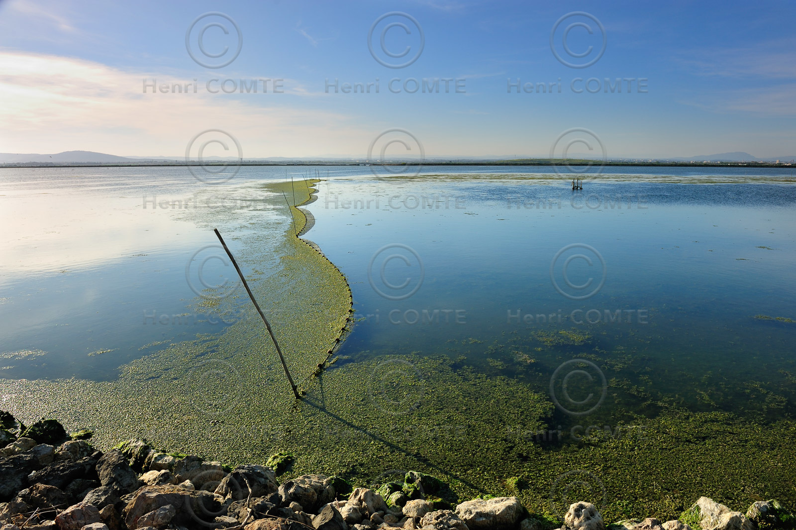 Etang et filets