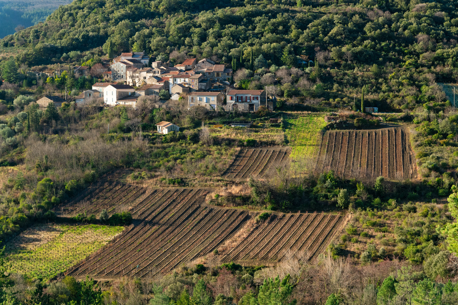 Escagnès