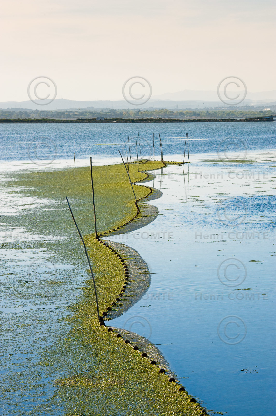 Etang et filets