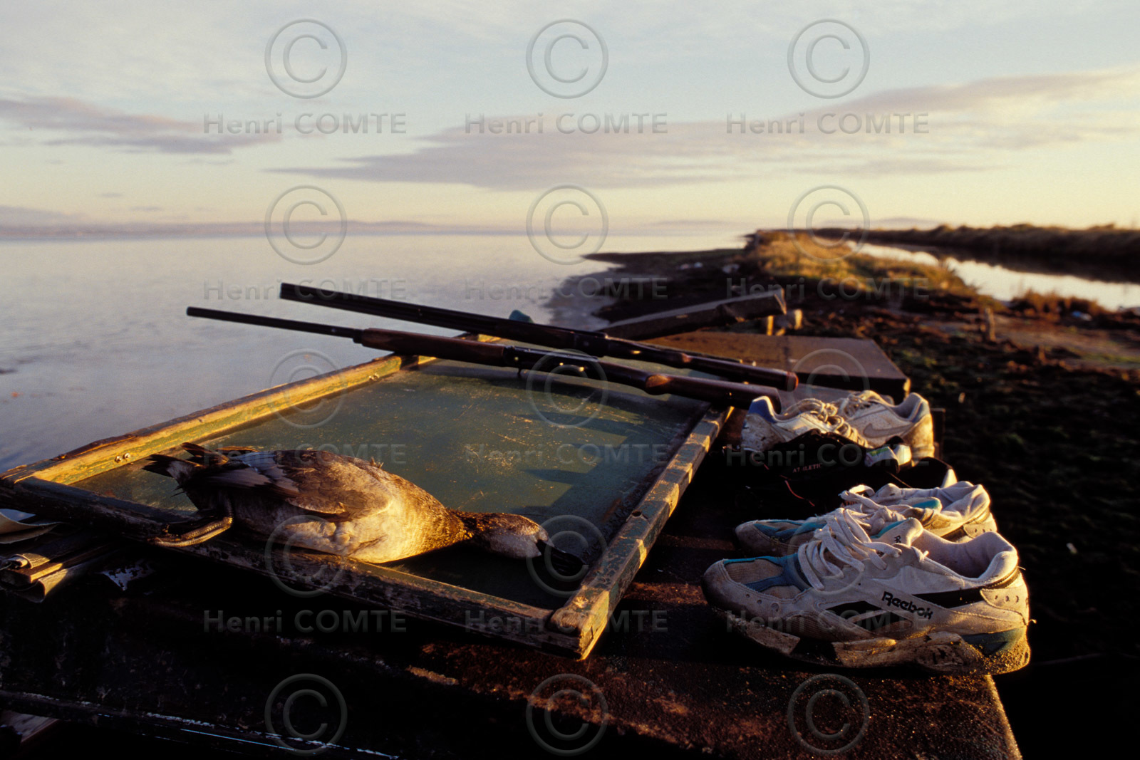 Chasseur