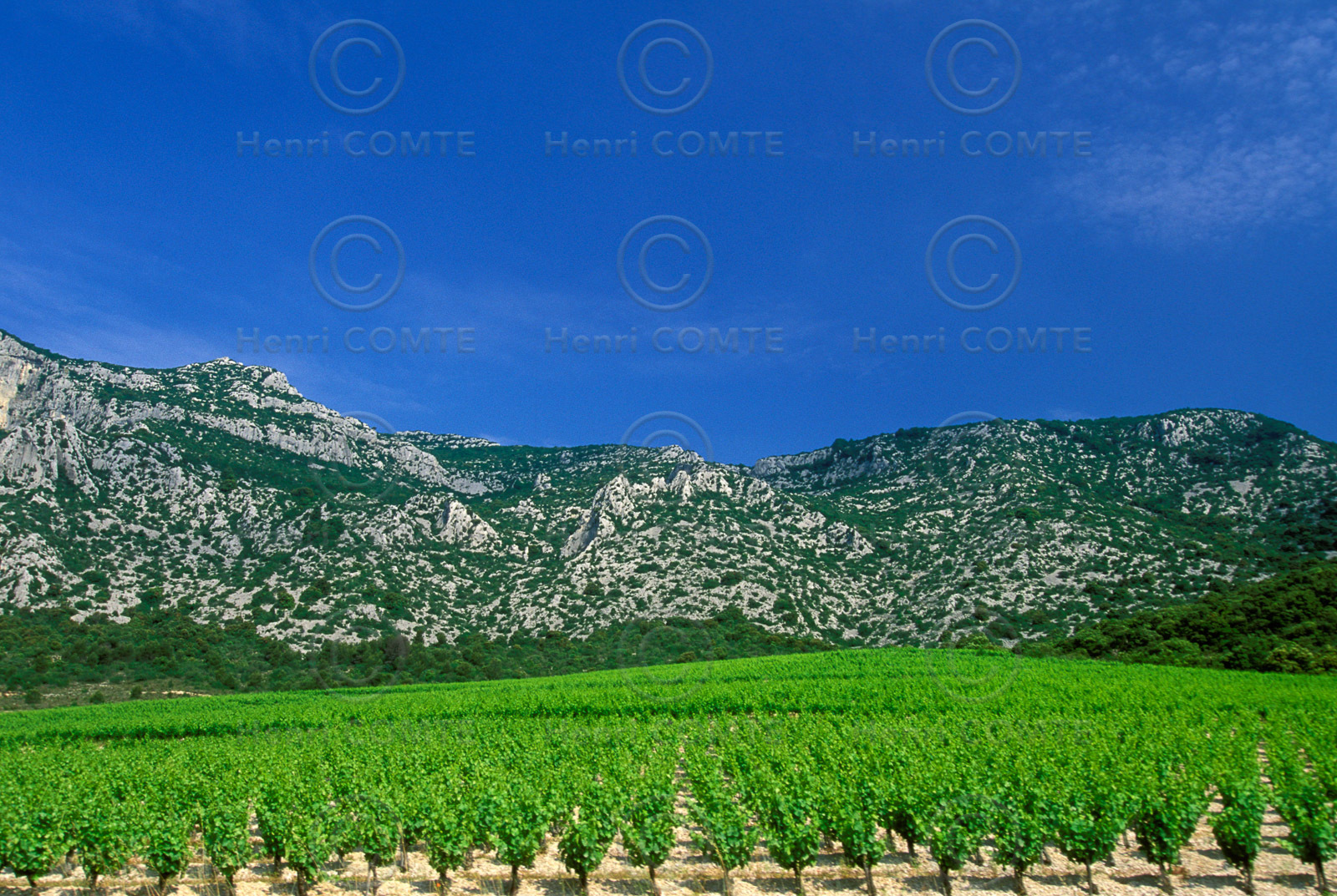 Vignoble de la Seranne