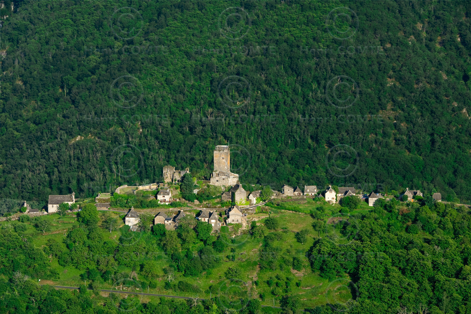 Chateau de Vallon