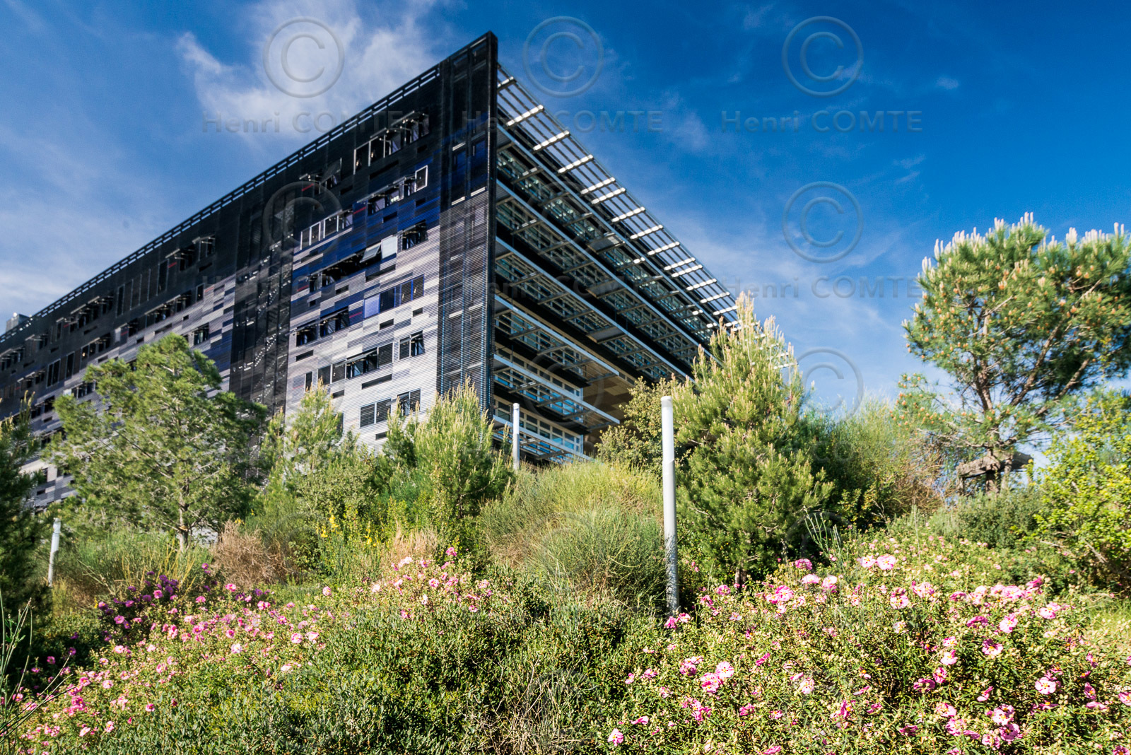 Montpellier