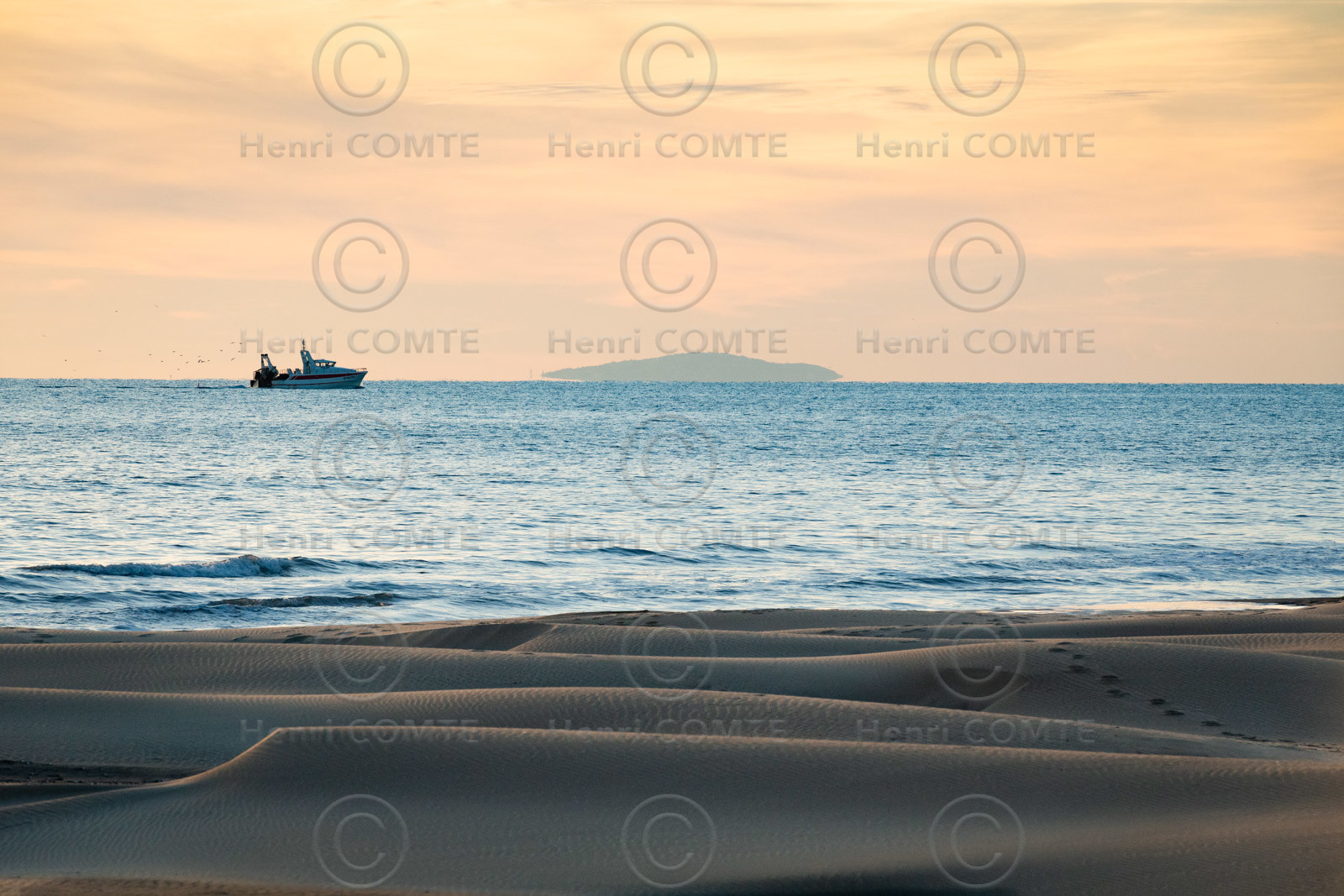 Littoral