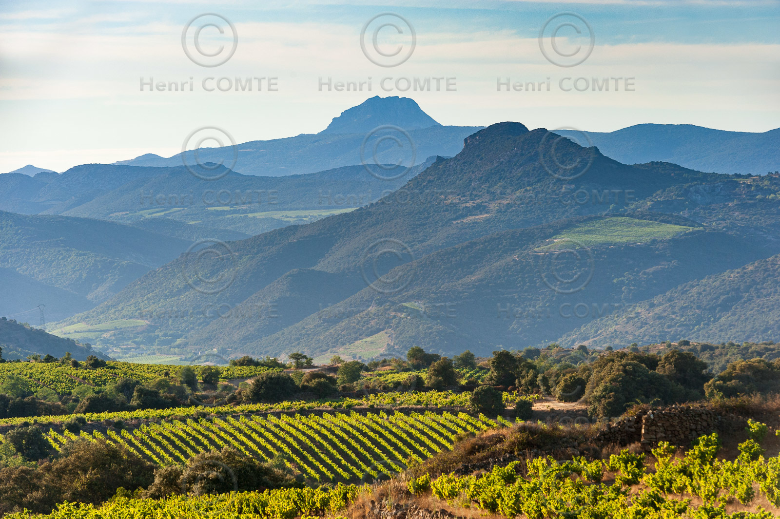 Vignoble Caramany